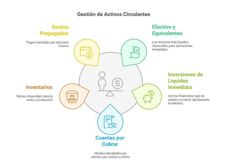 Diagrama detallado de los componentes del activo circulante