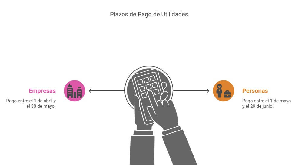 Plazos de pagos de utilidades