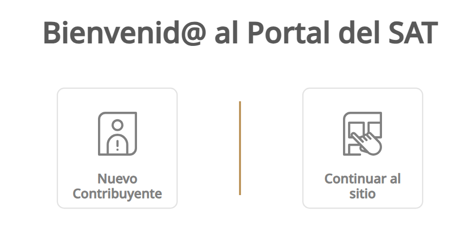 Imagen del portal del SAT