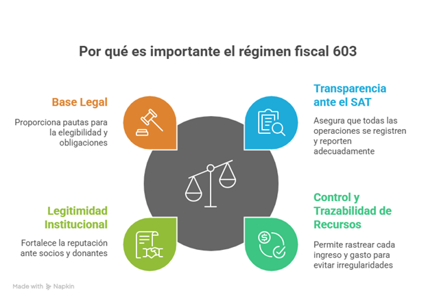 Infografía sobre la importancia del régimen fiscal 603 y cómo fortalece la transparencia y control de recursos